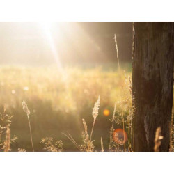 Aerodynamic Silk Watch fr-FR